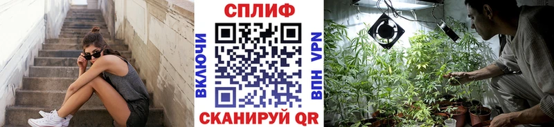 МАРИХУАНА марихуана  Гатчина 